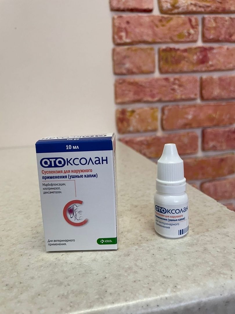 Капли Отоксолан для животных: для чего необходимы и их особенности ...